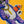 Ravioli the Rabbit ステッカー
